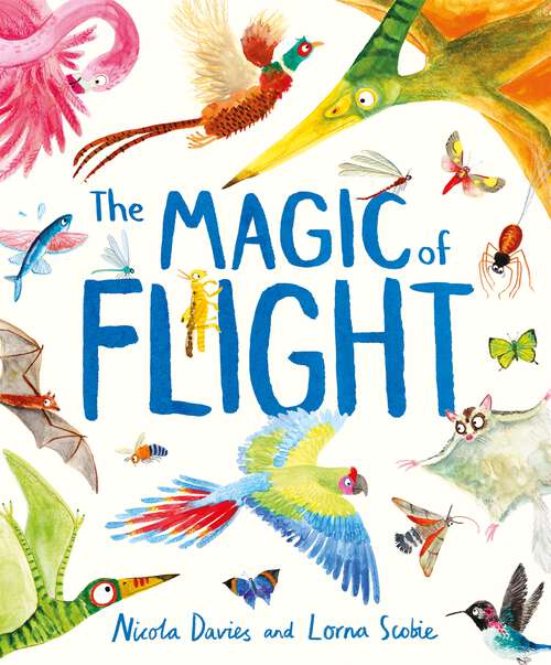 Book cover of The Magic of Flight: Discover birds, bats, butterflies and more in this incredible book of flying creatures