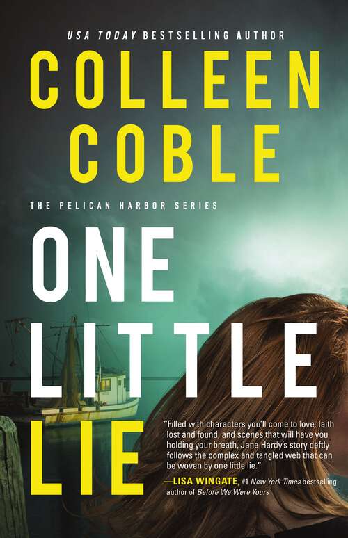 Book cover of One Little Lie: One Little Lie, Two Reasons To Run, Three Missing Days (The Pelican Harbor Series #1)
