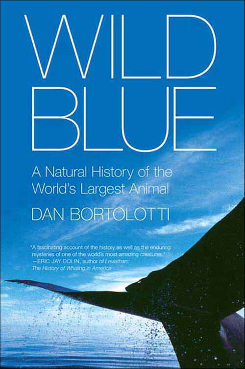Book cover of Wild Blue: A Natural History of the World's Largest Animal