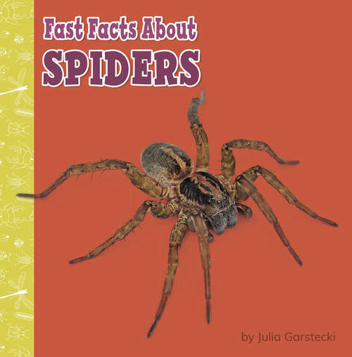 Book cover of Fast Facts About Spiders (Fast Facts About Bugs & Spiders)