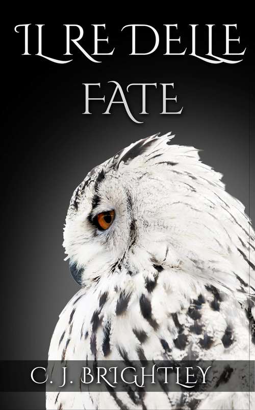 Book cover of Il Re delle Fate (Fairy king series #1)