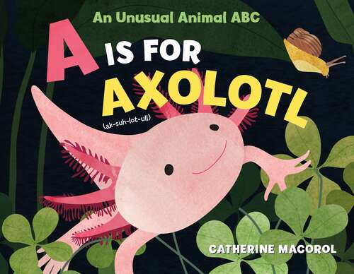 Book cover of A Is for Axolotl: An Unusual Animal ABC