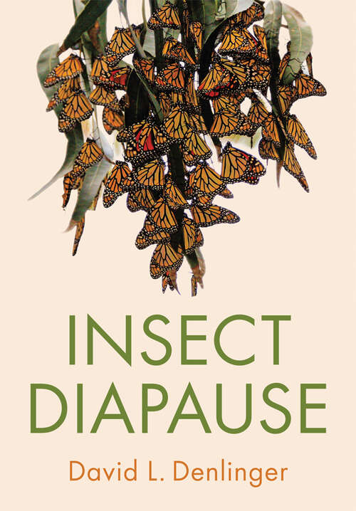 Book cover of Insect Diapause