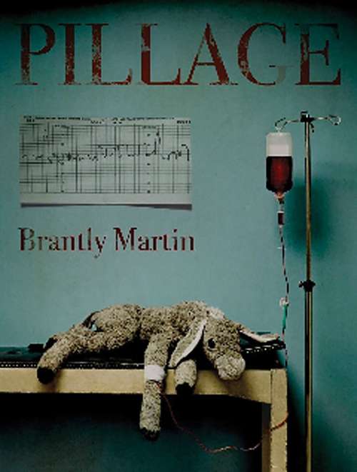 Book cover of Pillage