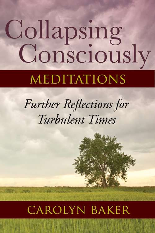 Book cover of Collapsing Consciously Meditations: Further Reflections for Turbulent Times