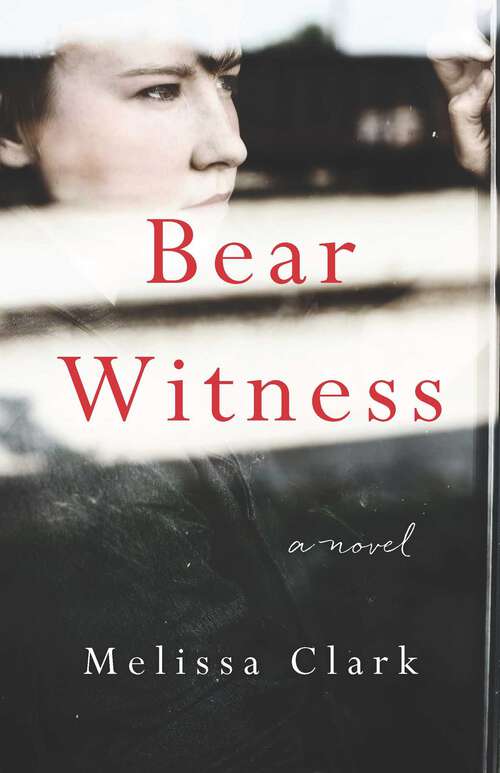 Book cover of Bear Witness: A Novel