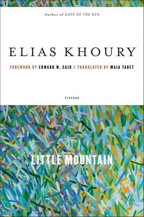 Book cover of Little Mountain