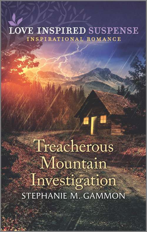 Book cover of Treacherous Mountain Investigation (Original)