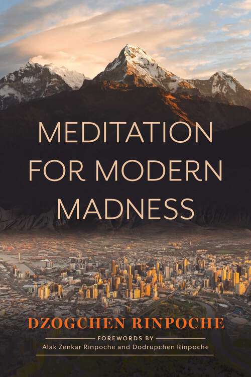 Book cover of Meditation for Modern Madness