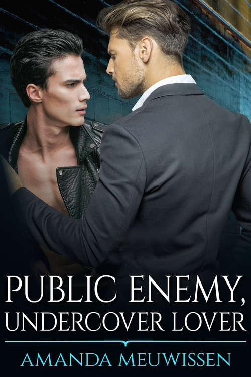 Book cover of Public Enemy, Undercover Lover