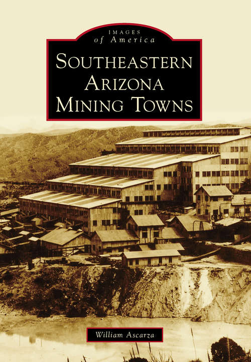 Book cover of Southeastern Arizona Mining Towns