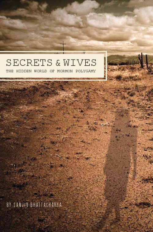 Book cover of Secrets and Wives