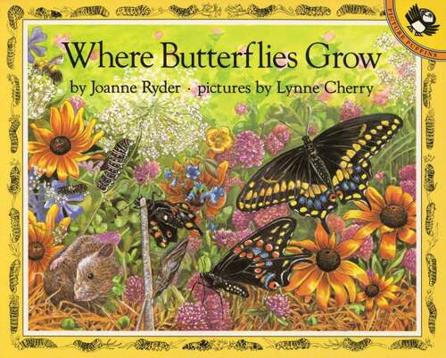 Book cover of Where Butterflies Grow