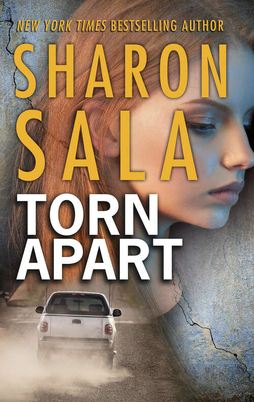 Book cover of Torn Apart: Blown Away Torn Apart Swept Aside (A Storm Front Novel #2)