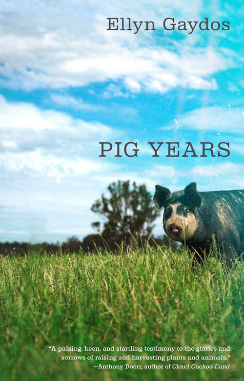 Book cover of Pig Years