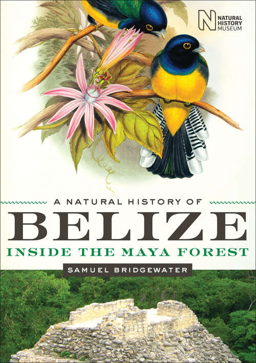 Book cover of A Natural History of Belize: Inside the Maya Forest (Corrie Herring Hooks Series)