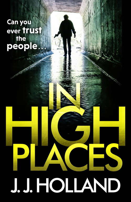 Book cover of In High Places: A gripping thriller from the bestselling author of Lock the Door