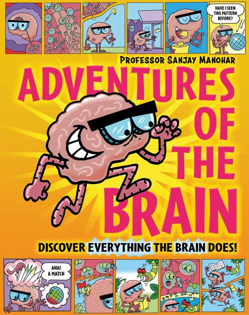 Book cover of Adventures of the Brain: What the brain does and how it works (Adventures of the Brain)