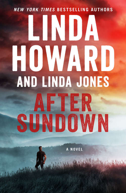 Book cover of After Sundown: A Novel