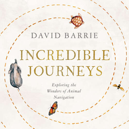 Book cover of Incredible Journeys: Sunday Times Nature Book of the Year 2019