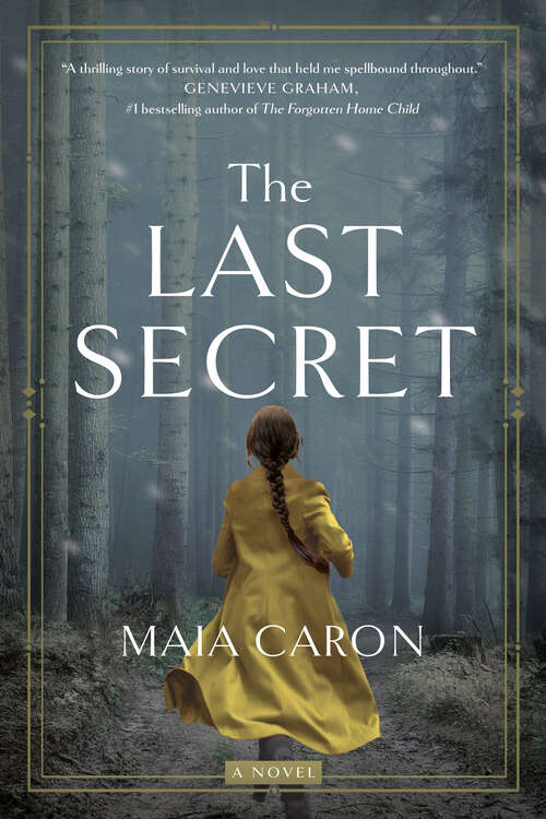 Book cover of The Last Secret: A Novel