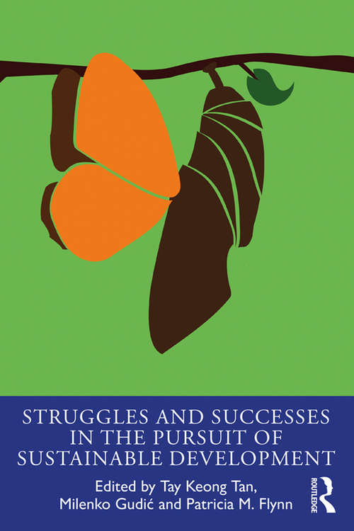 Book cover of Struggles and Successes in the Pursuit of Sustainable Development (The Principles for Responsible Management Education Series)