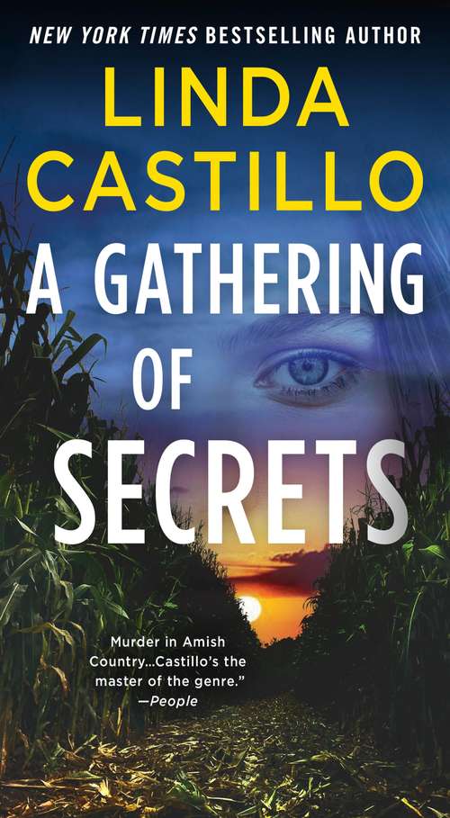 Book cover of A Gathering of Secrets: A Kate Burkholder Novel (Kate Burkholder #10)