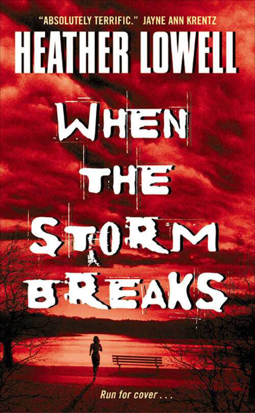 Book cover of When the Storm Breaks
