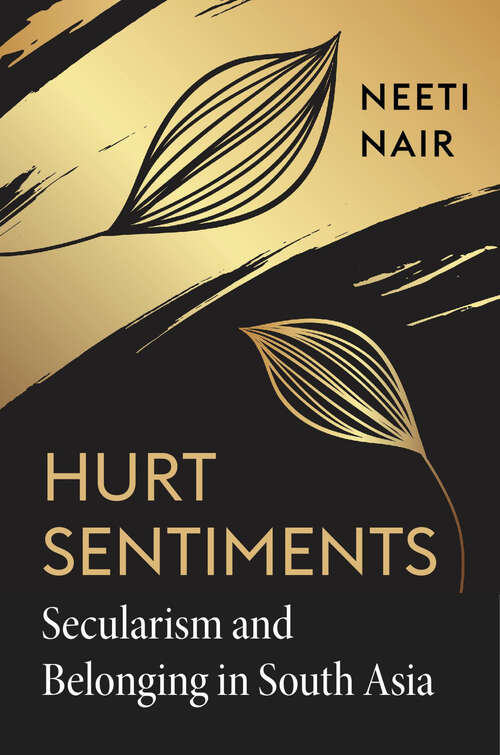 Book cover of Hurt Sentiments: Secularism and Belonging in South Asia