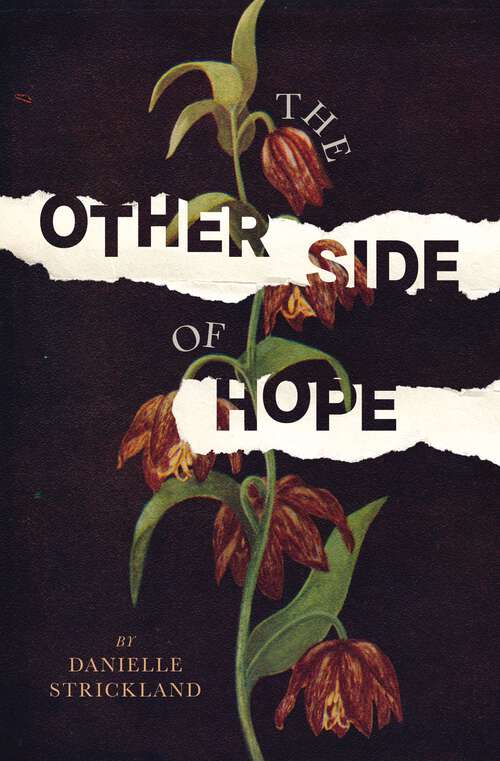 Book cover of The Other Side of Hope: Flipping the Script on Cynicism and Despair and Rediscovering our Humanity
