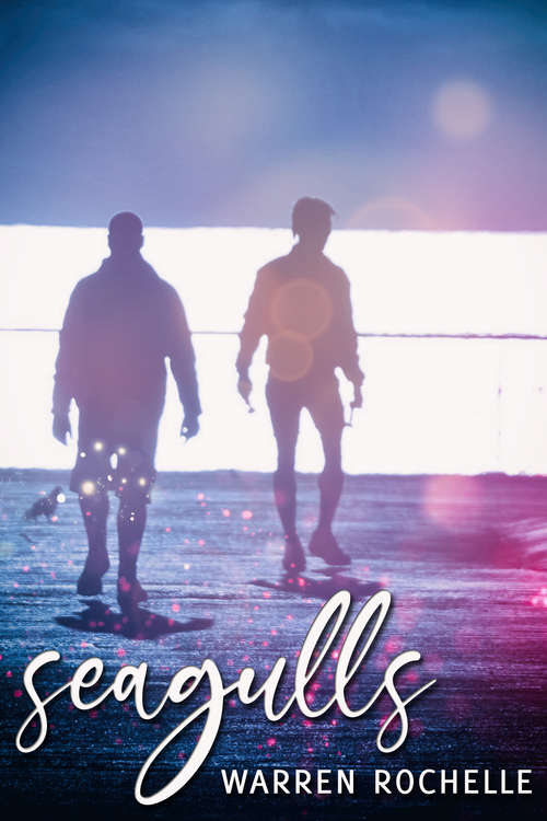 Book cover of Seagulls