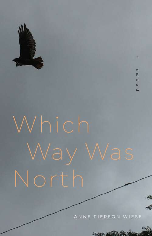 Book cover of Which Way Was North: Poems