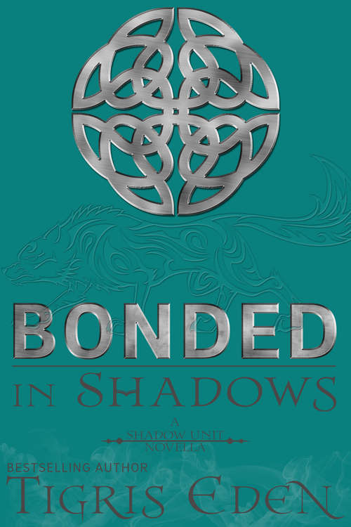 Book cover of Bonded In Shadows