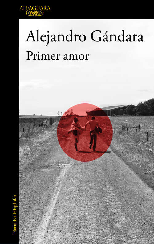 Book cover of Primer amor