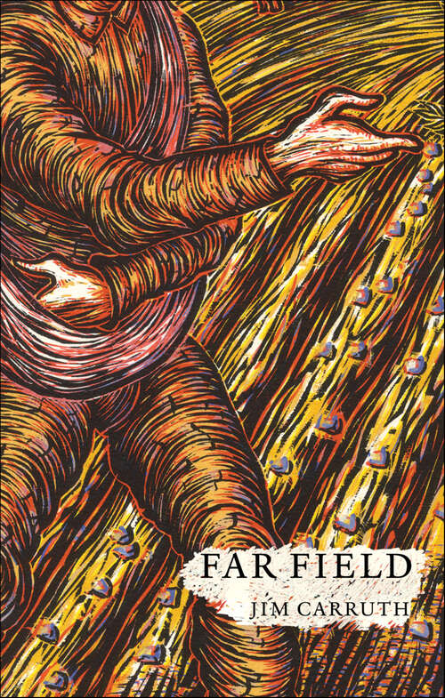 Book cover of Far Field