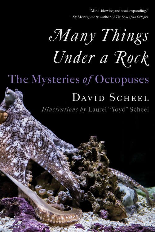 Book cover of Many Things Under a Rock: The Mysteries Of Octopuses