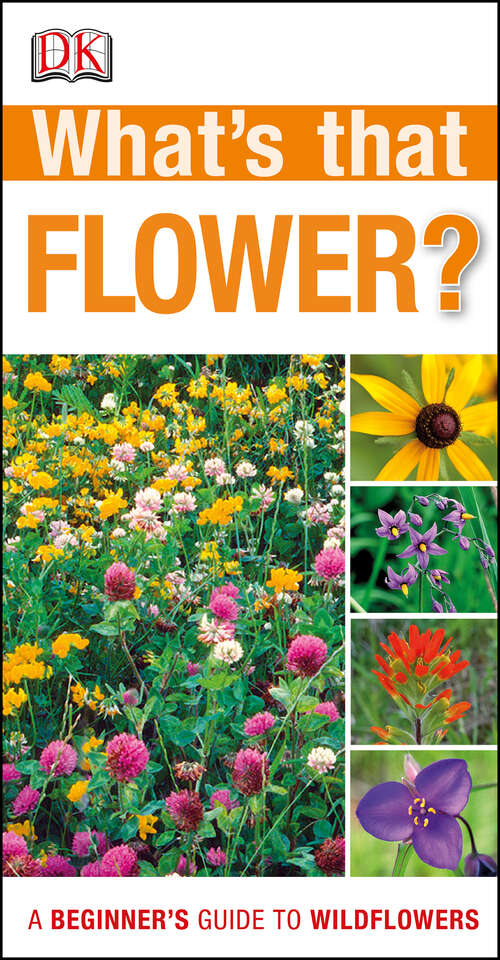 Book cover of What's that Flower?: A Beginner's Guide to Wildflowers (DK What's That?)