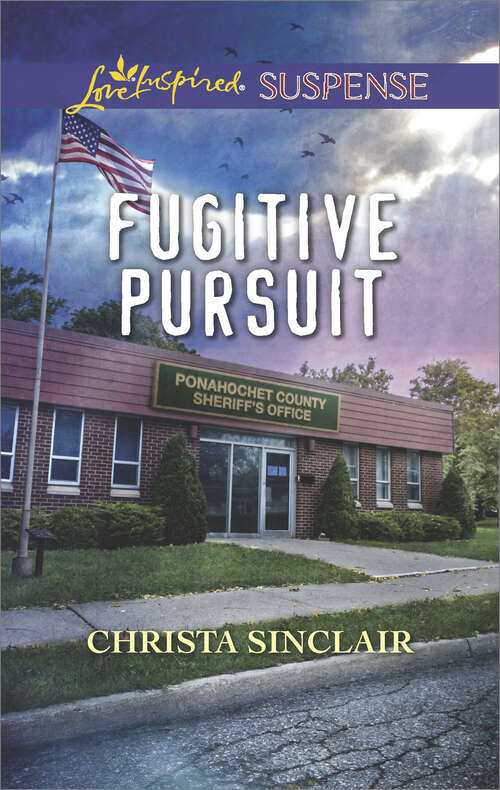 Book cover of Fugitive Pursuit: Primary Suspect Plain Outsider Fugitive Pursuit