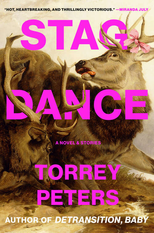 Book cover of Stag Dance: A Novel & Stories