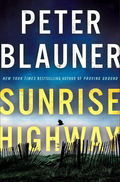 Book cover of Sunrise Highway (Lourdes Robles Novels #2)