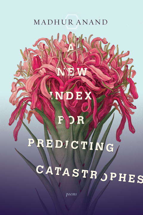 Book cover of A New Index for Predicting Catastrophes