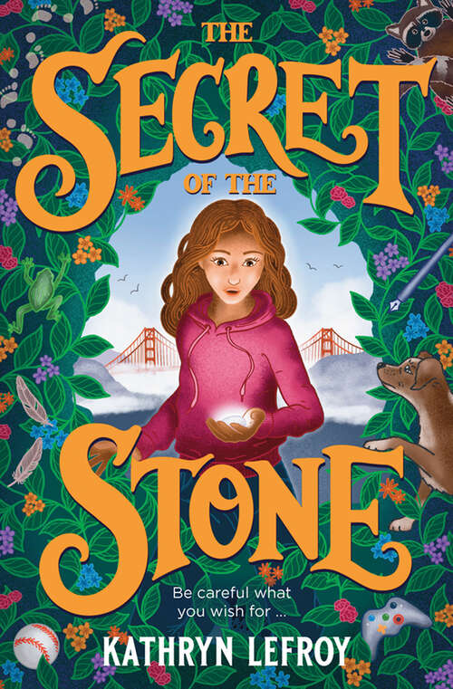 Book cover of The Secret of the Stone