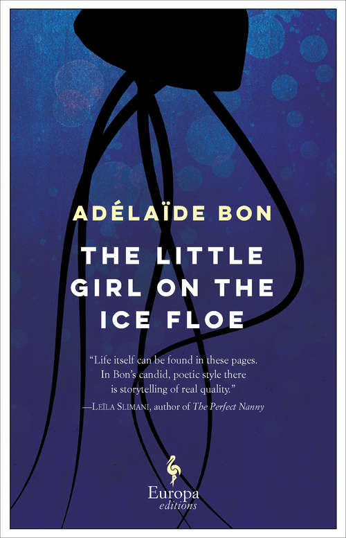 Book cover of The Little Girl on the Ice Floe
