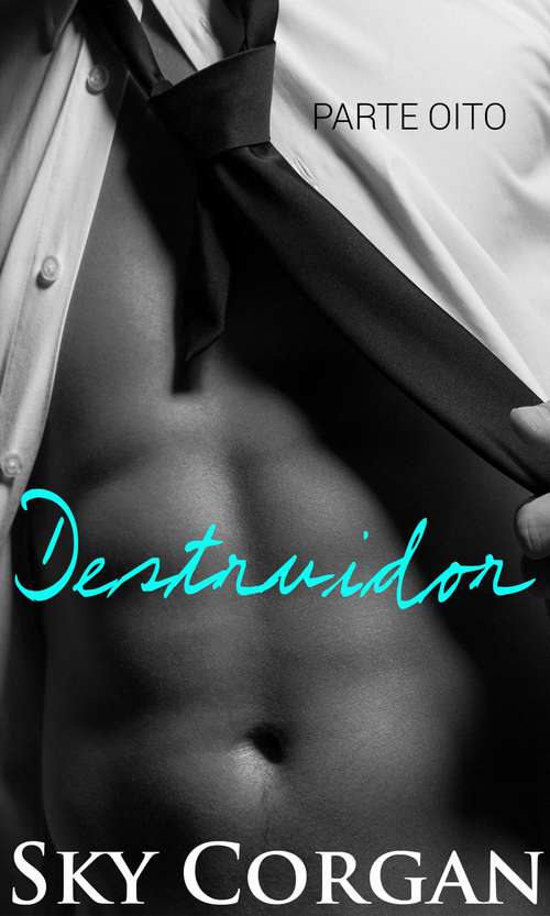 Book cover of Destruidor - Parte Oito