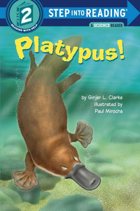 Book cover of Platypus! (Step into Reading)