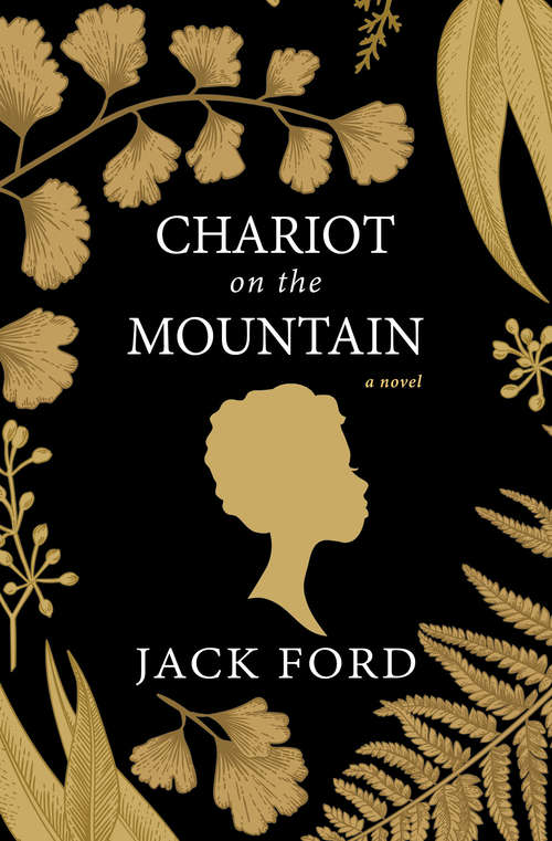 Book cover of Chariot on the Mountain