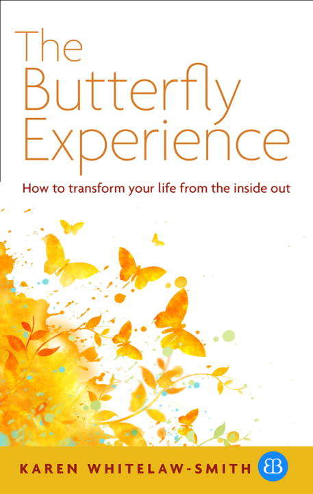 Book cover of The Butterfly Experience