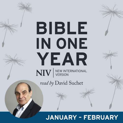 Book cover of NIV Audio Bible in One Year: read by David Suchet (New International Version)