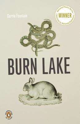 Book cover of Burn Lake