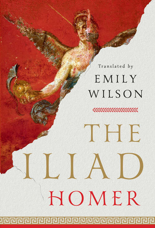 Book cover of The Iliad